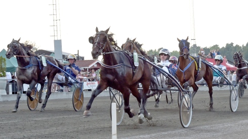 Foto av Lars Jakobsson/TR Bild